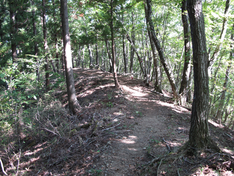 20151014hike (153)